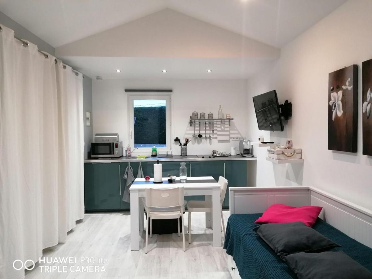 Ferienwohnung Petit Nid Douillet Reventin-Vaugris Exterior foto